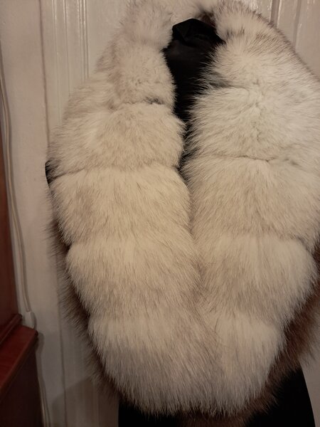 Gulere de vulpe