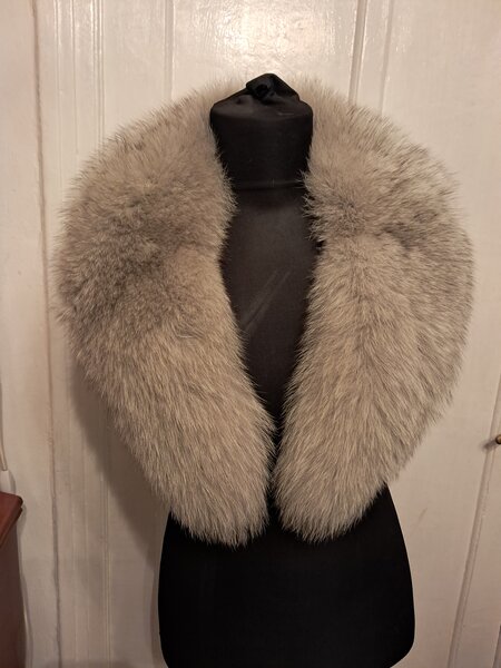 Gulere de vulpe