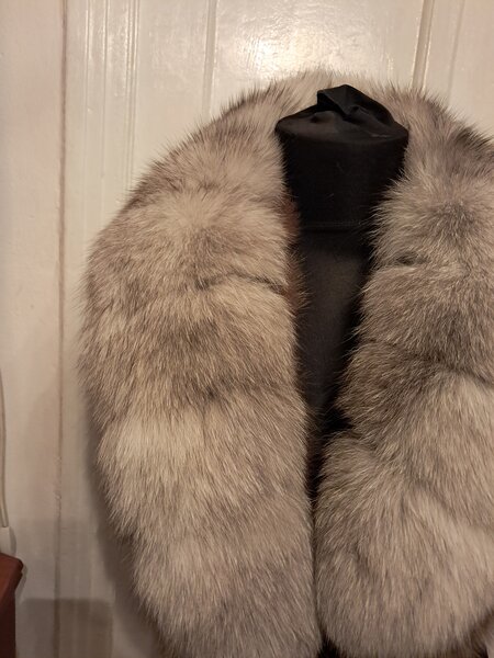 Gulere de vulpe